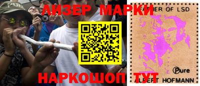прущие грибы Кингисепп