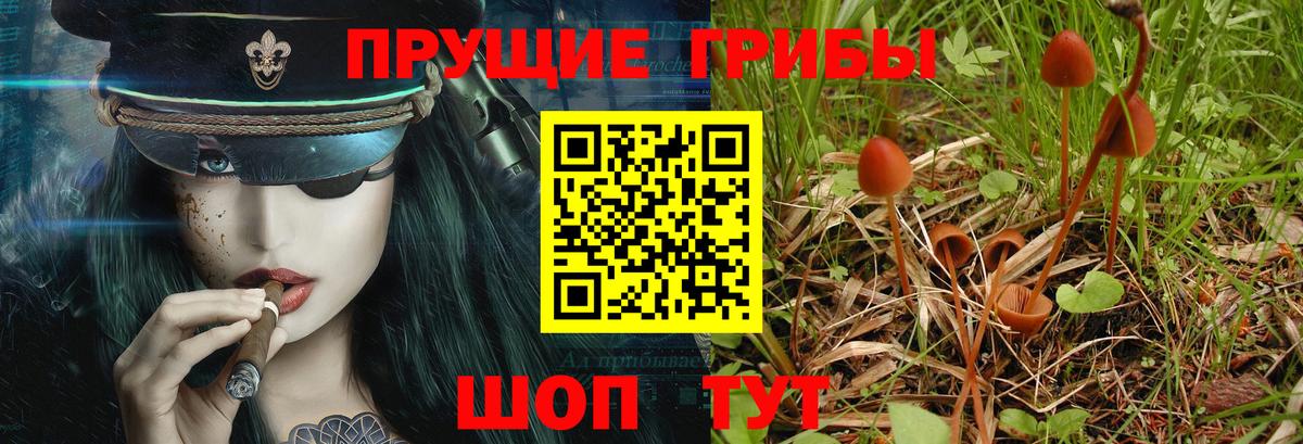 где купить наркоту  Галлюциногенные грибы мухоморы  Галлюциногенные грибы MAGIC MUSHROOMS  Вход с VPN  Улан-Удэ 